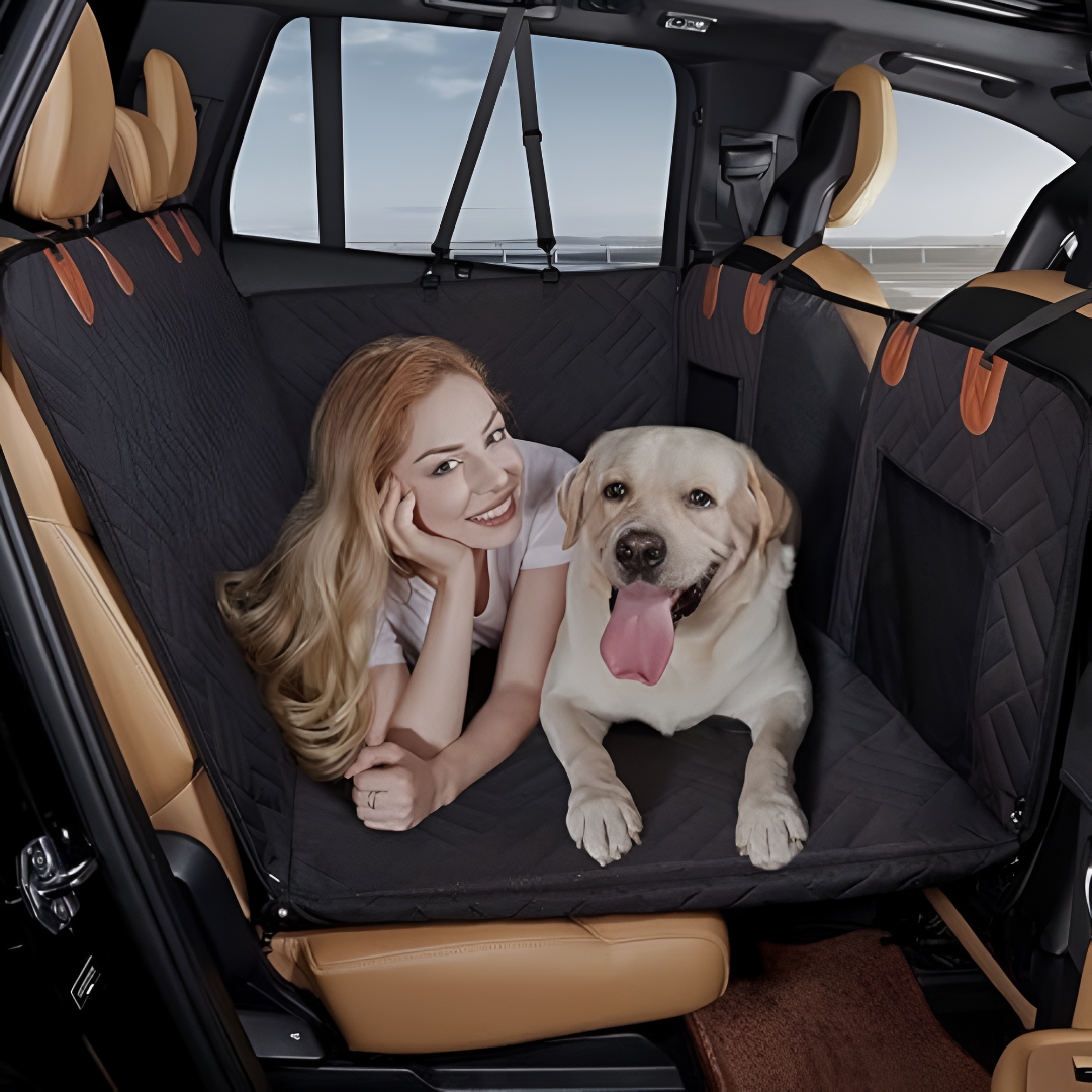 Dog Seat Cover