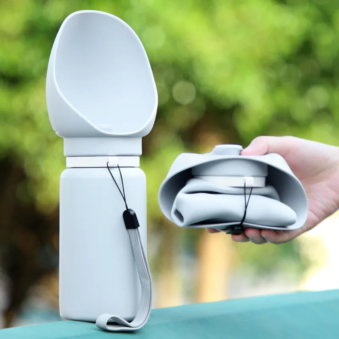 Outdoor Water Bottle