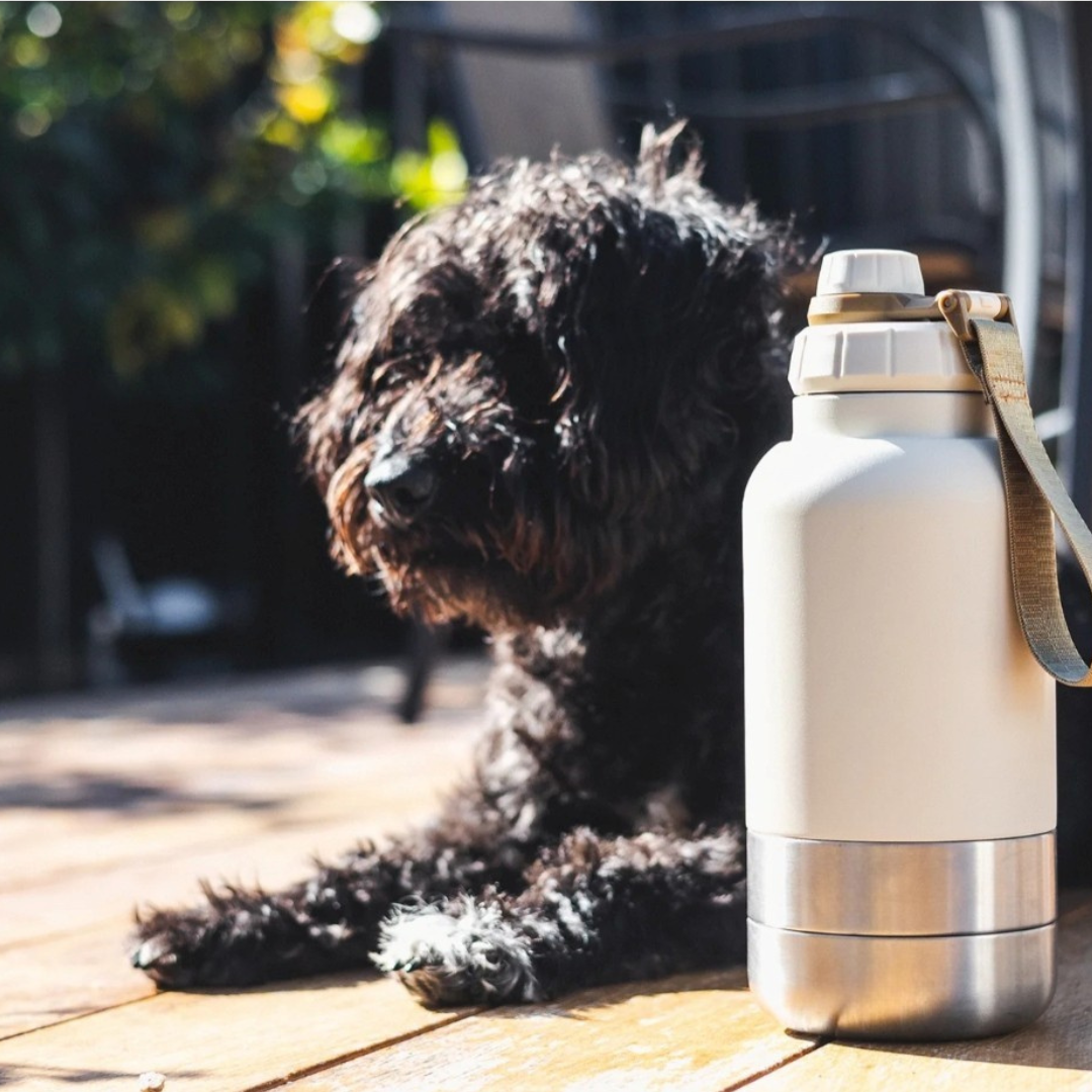 3-in-1 Dual Bowl Bottle