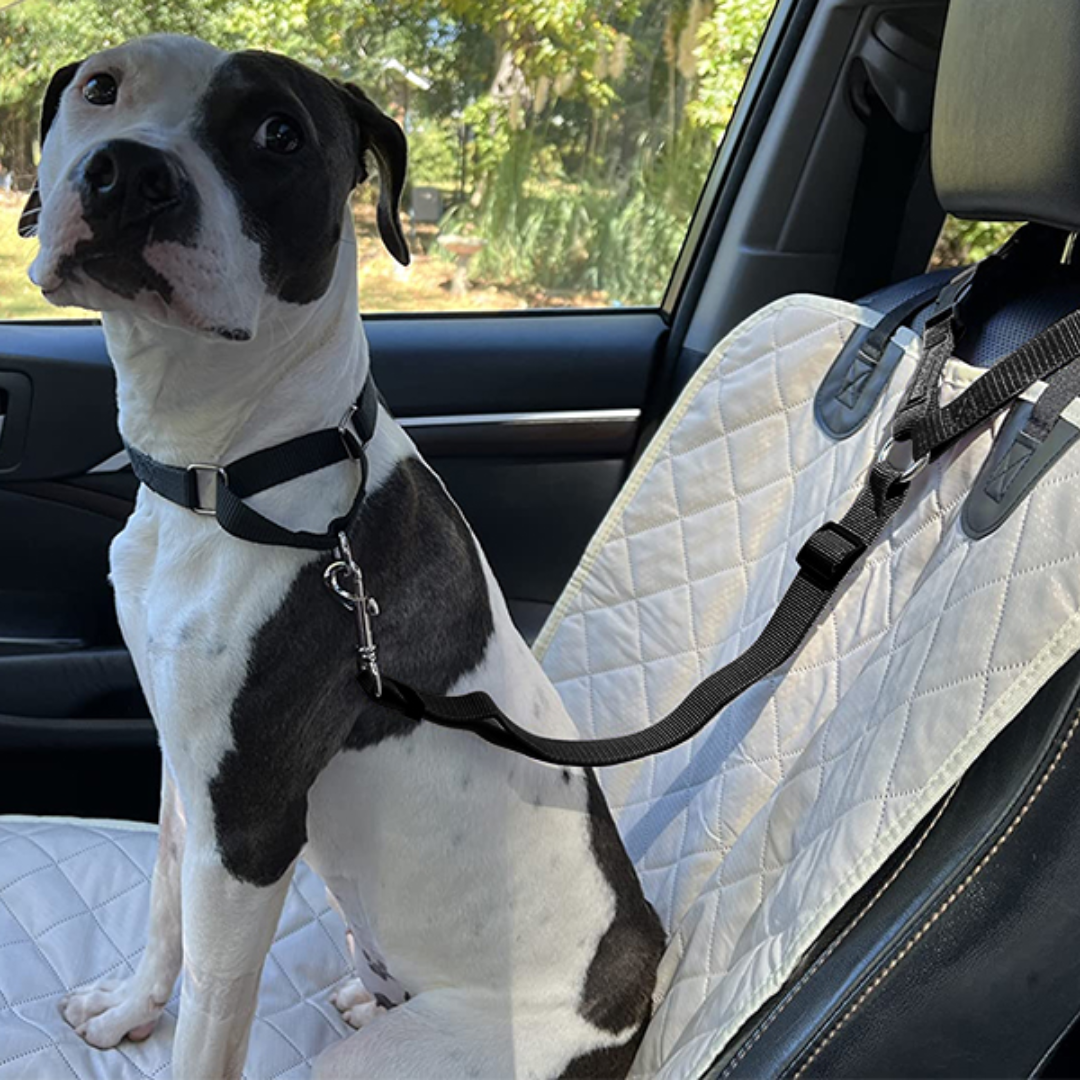 Adjustable Car Seat