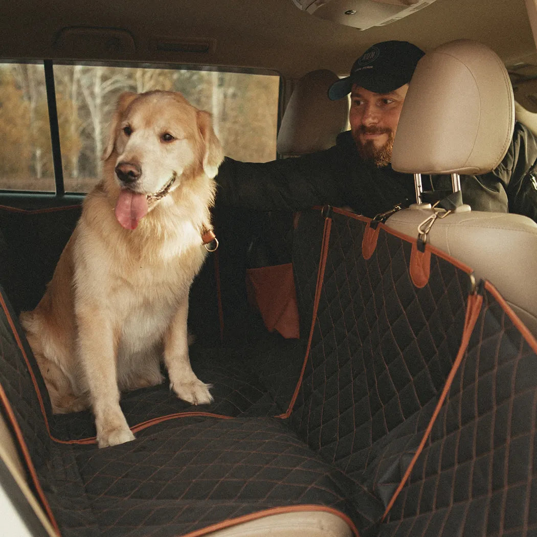 Wag n' Go Seat Cover