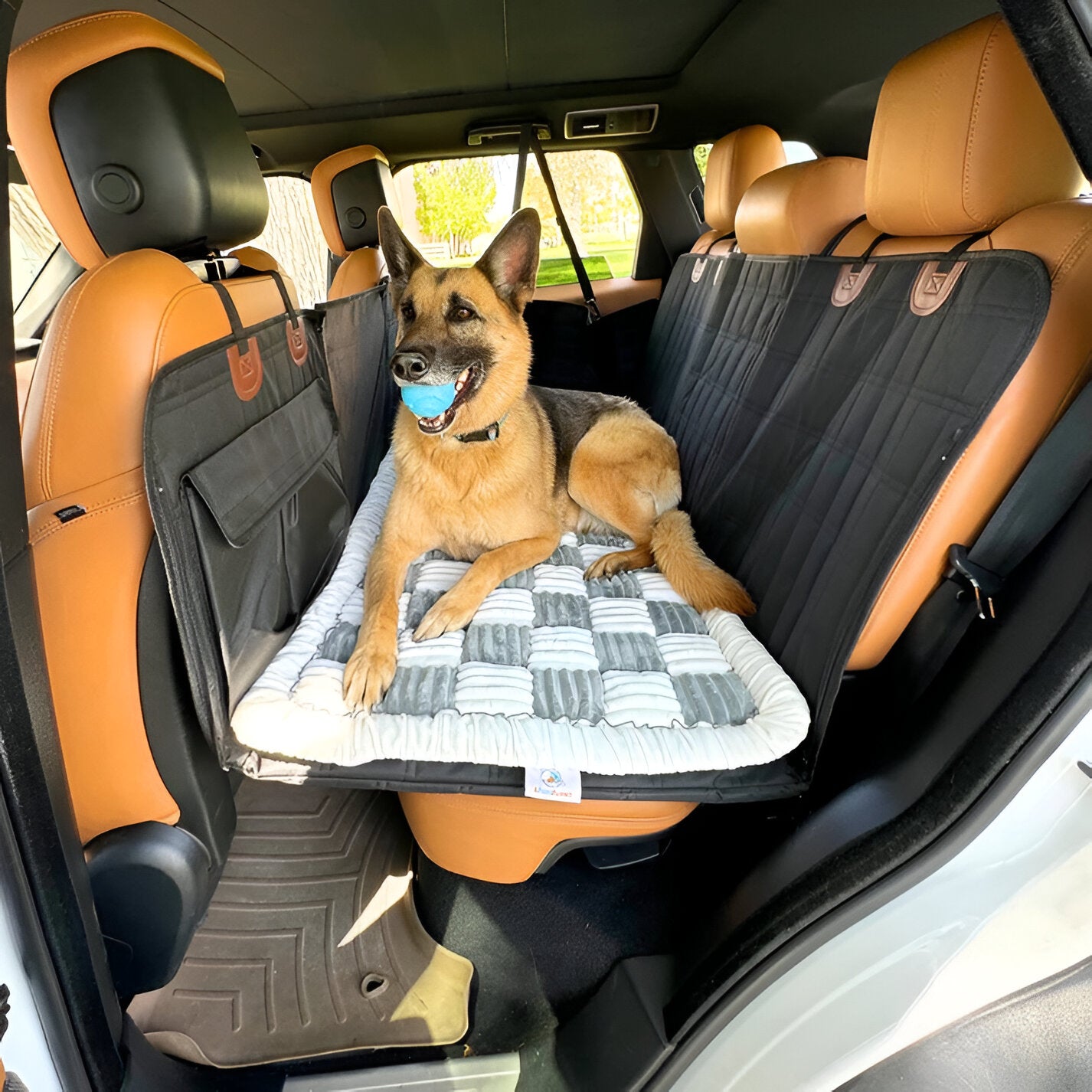 Checkered Dog Bed